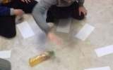 264476275_214645124175045_1296261840117731227_n