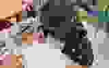 467396596_1098750875593131_5512992615277642656_n