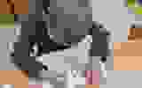 467553836_1098750835593135_631814125666583477_n