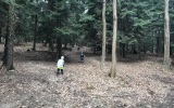 IMG_0526