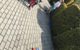 IMG_0848