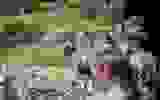 2e0a4493-f8ec-4120-a45a-146327d2b921