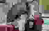 c254d389-2d17-4d95-ada6-0a7cf26378a0