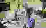 ded77c14-a130-47ad-b960-6ee4bf688bf9