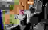 e55d7476-ee30-4905-a74b-4374ed0ae413