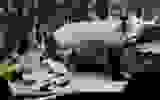 f5723fe1-2c8a-411e-a9d8-9ee9f6ec6ab1