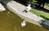 IMG_4361