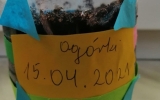 186486340_224515185725333_7404906944355678210_n